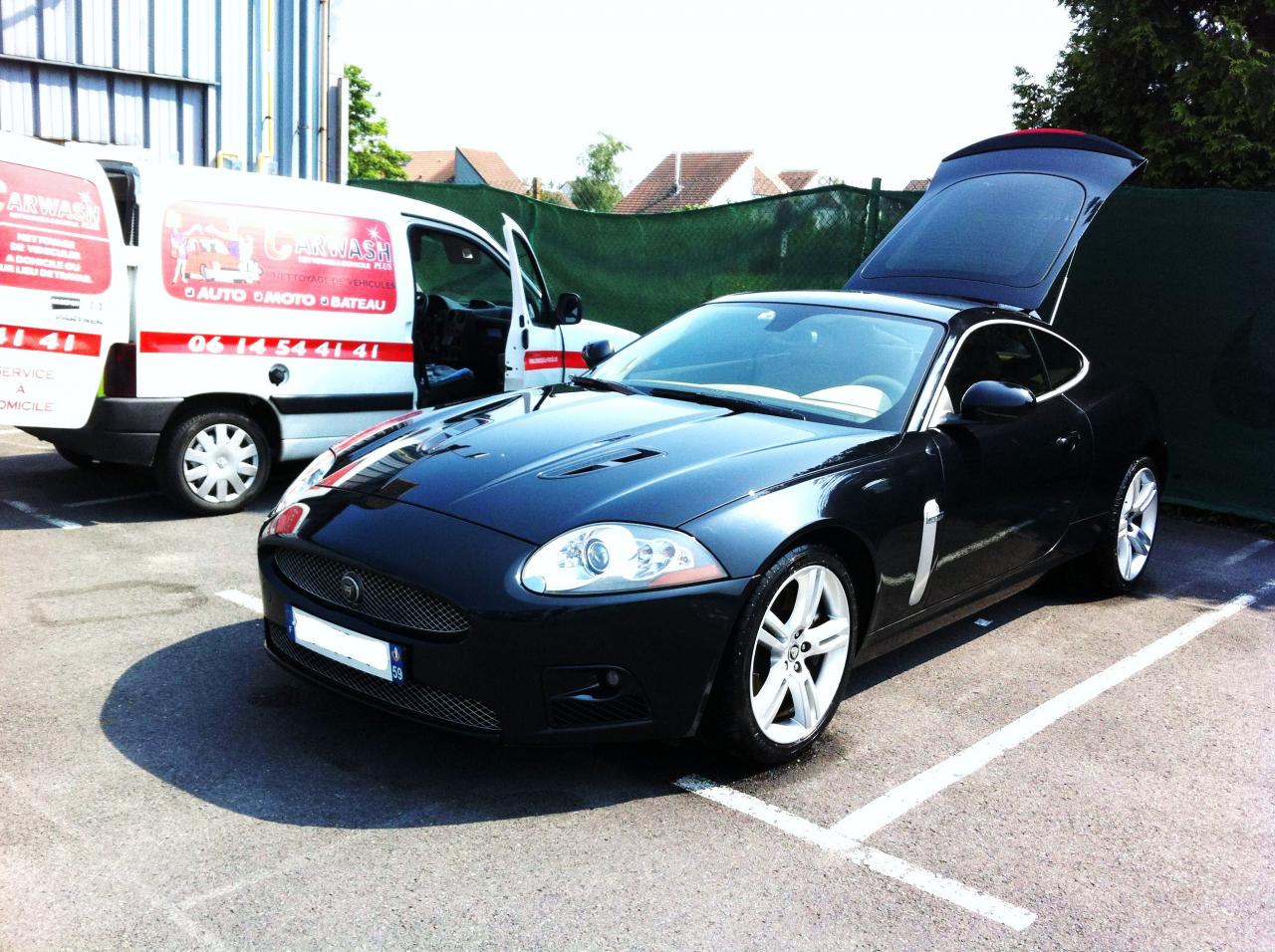 jaguar